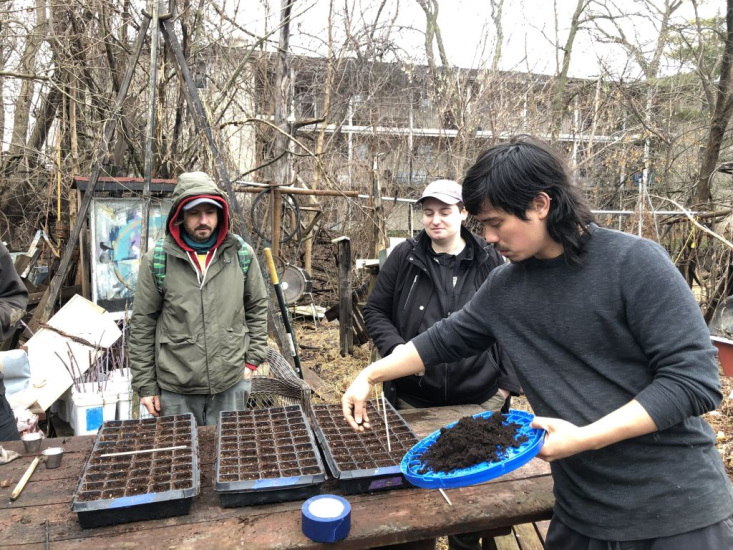Three people planting seeds
