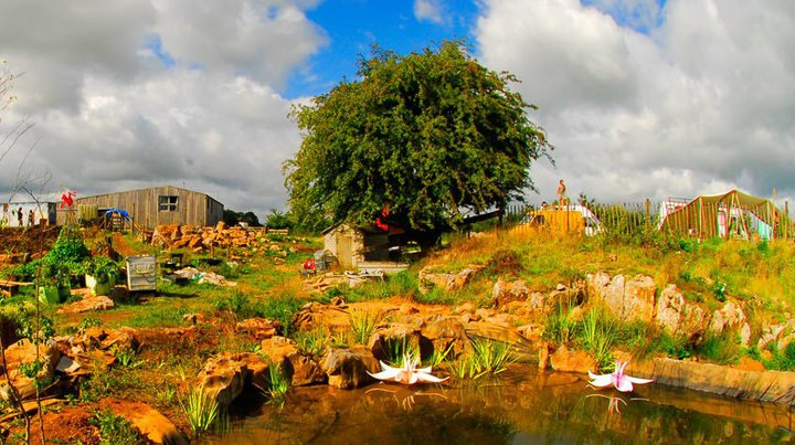 beautiful permaculture garden